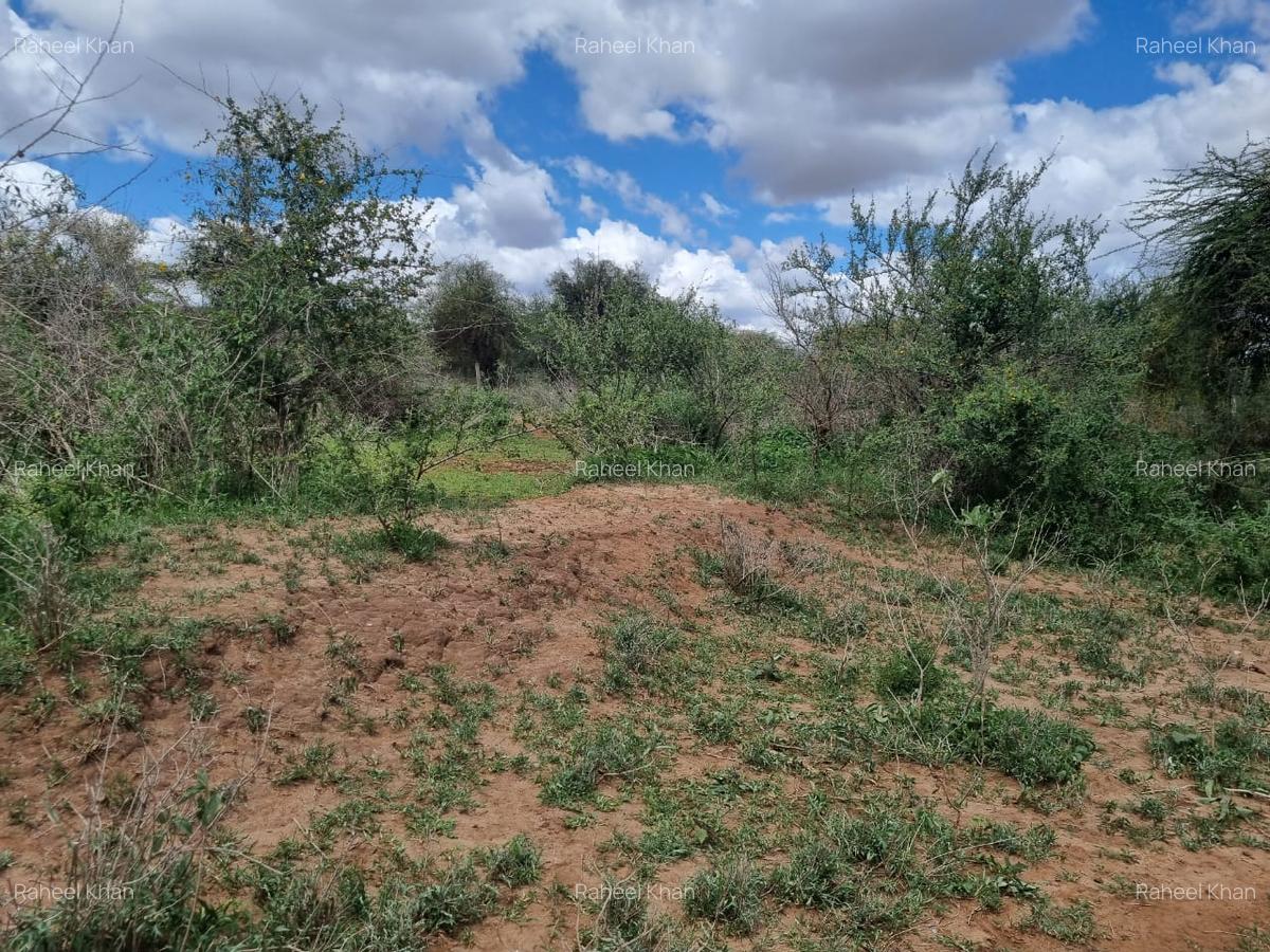 14 ac Land in Bisil - 10