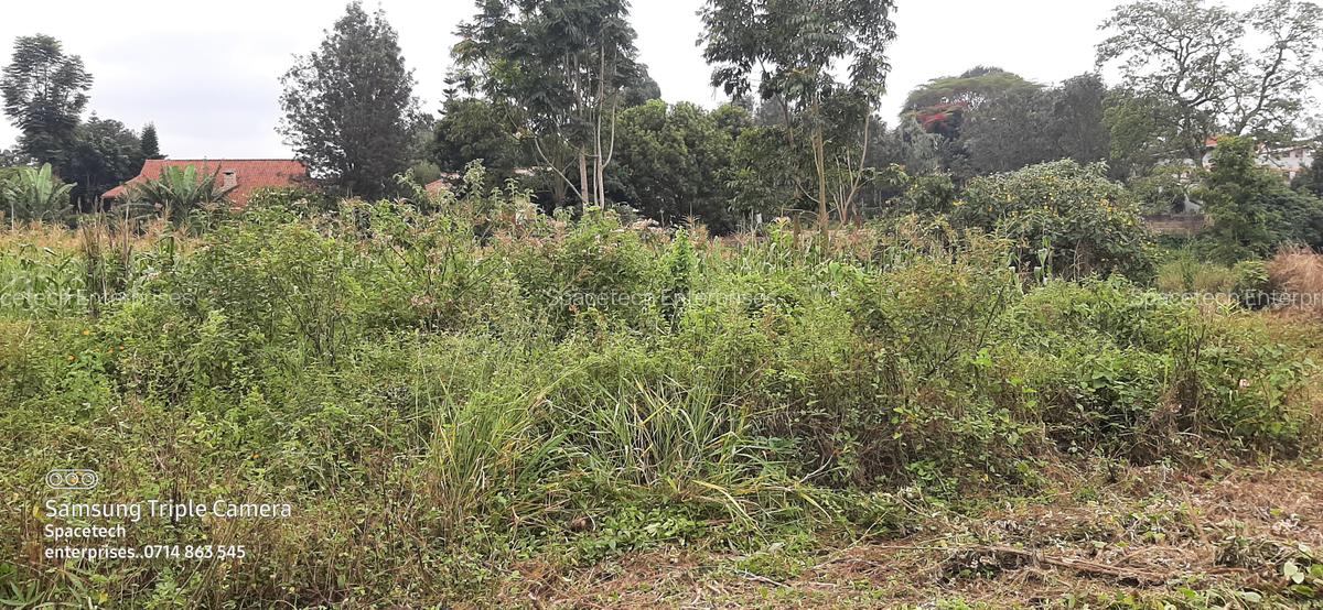 Commercial Property in Nyari - 6