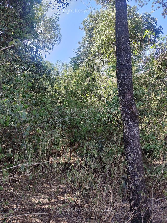 0.5 ac Land at Hardy - 6