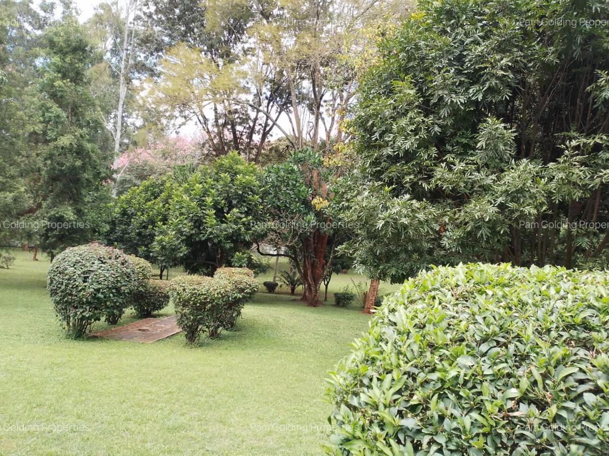 3 Bed House with En Suite in Karen - 14