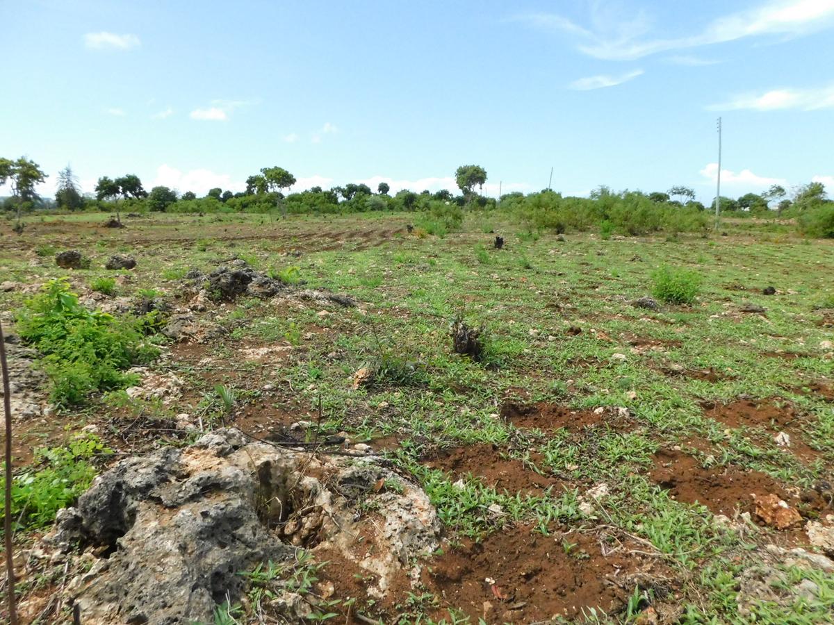 10,000 ft² Land at Vipingo - 5