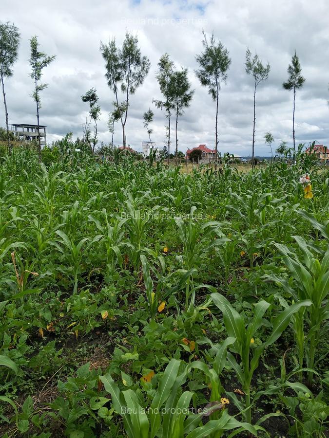 0.125 ac Residential Land at Kitengela Milimani - 2