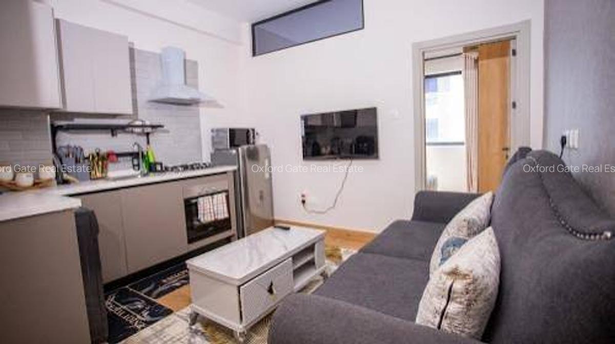 Studio Apartment with En Suite at Elgeyo Marakwet Road - 6