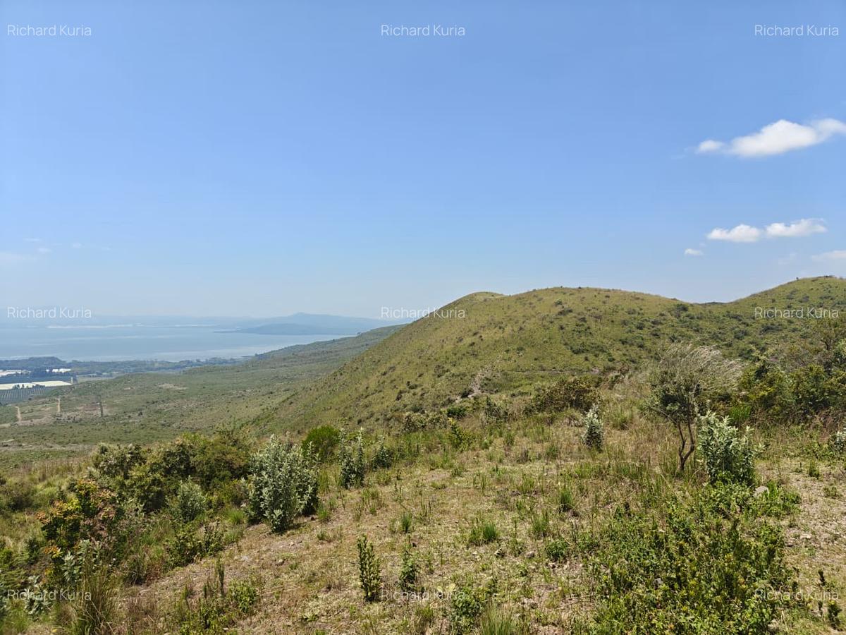 1 ac Land at South Lake Rd - 9