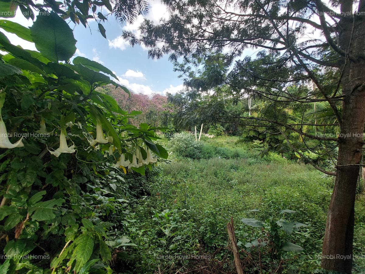 Residential Land at Runda Grove - 2