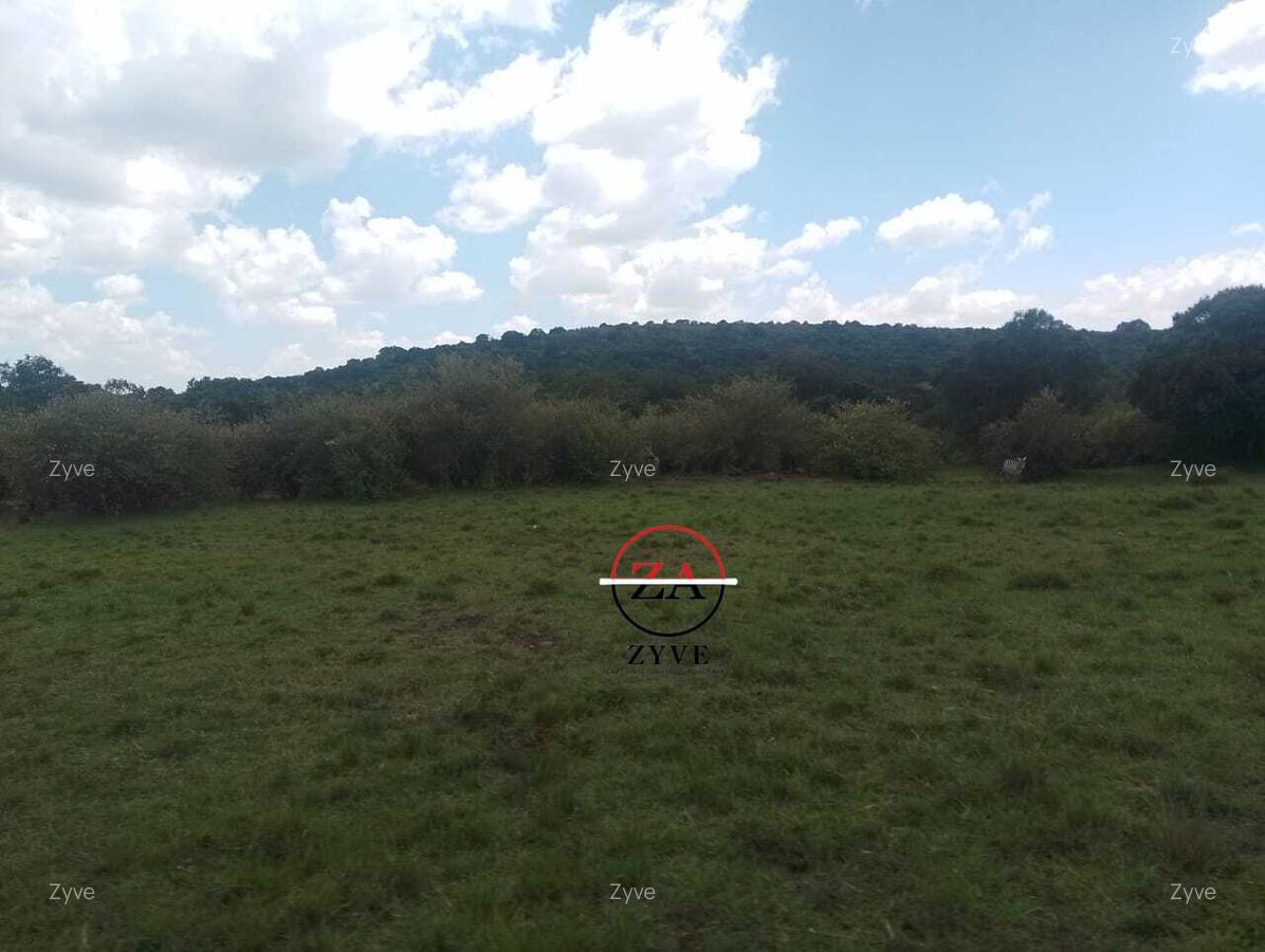 88 ac Land at Ol Choro Conservancy - 13