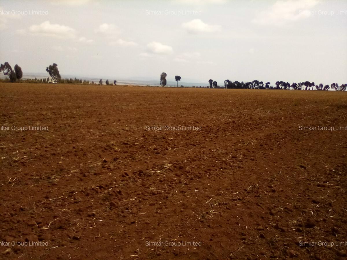 Land at Timau - 5