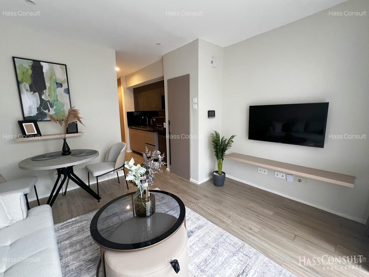 Furnished Studio Apartment with En Suite in Nyari - 6