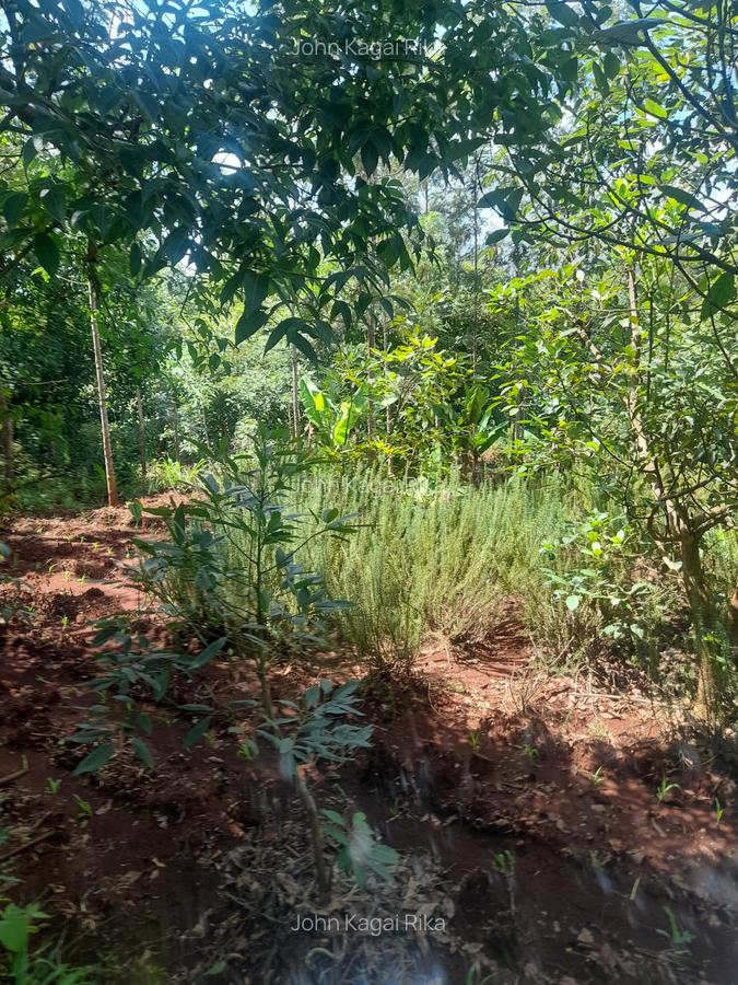1.0 ac Land at Kandara Road - 9