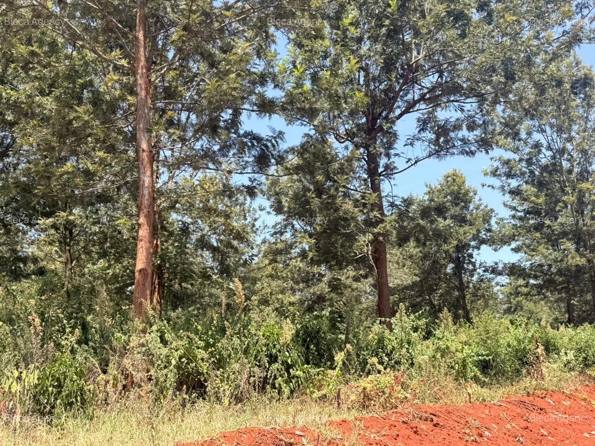 500 m² Residential Land at Ruiru-Githunguri Road - 5