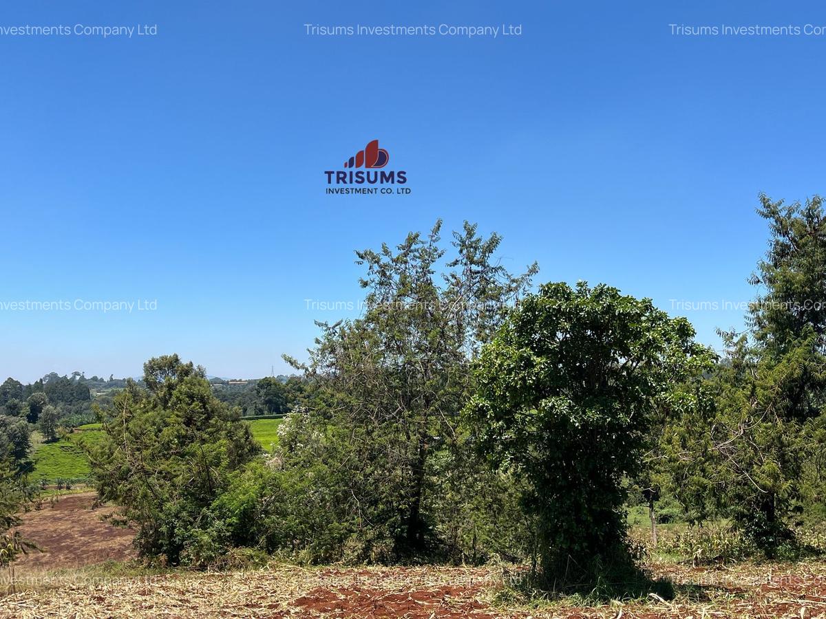 1.5 ac Land in Tigoni - 1