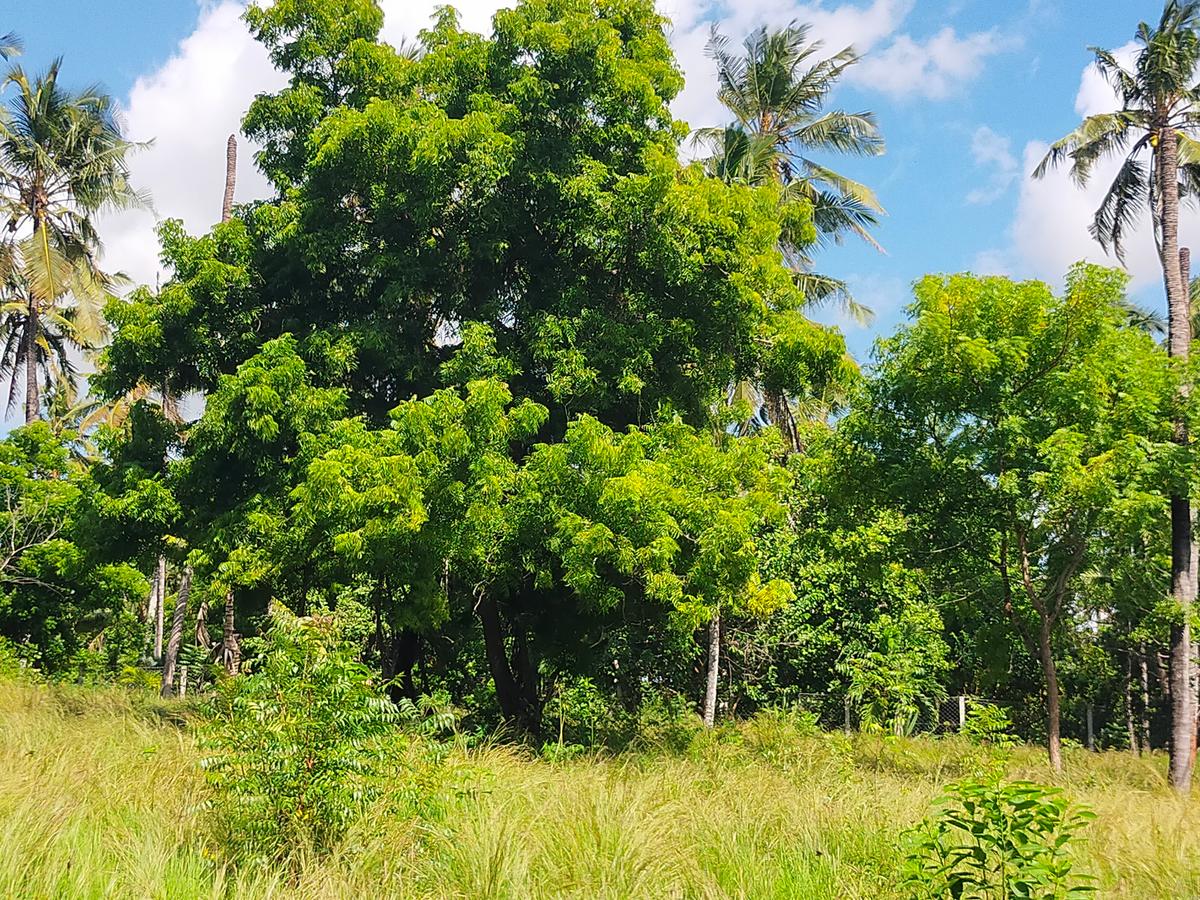 Land in Kilifi County - 8