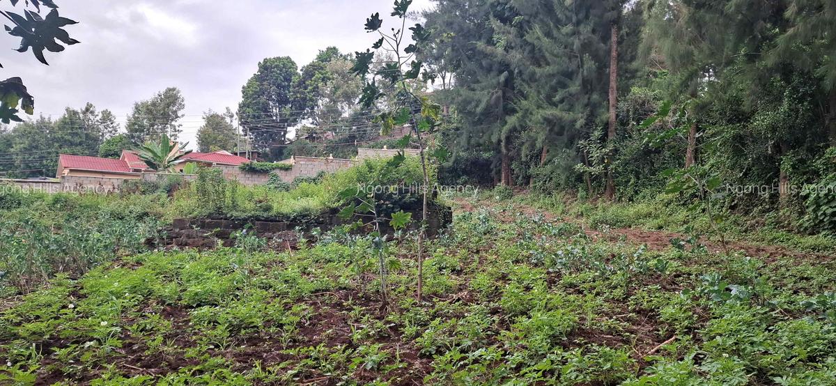 Commercial Land in Ngong - 13