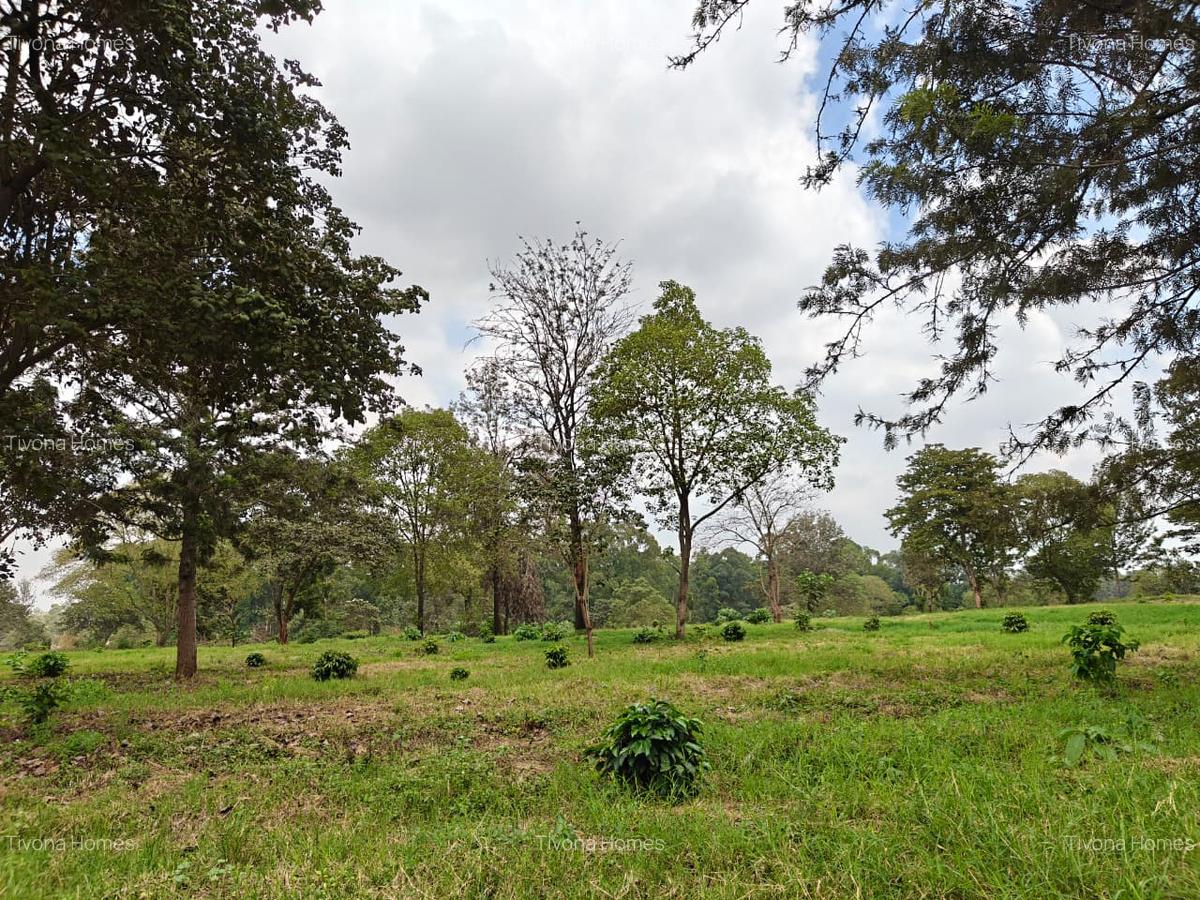 0.25 ac Commercial Land in Kiambu Road - 5