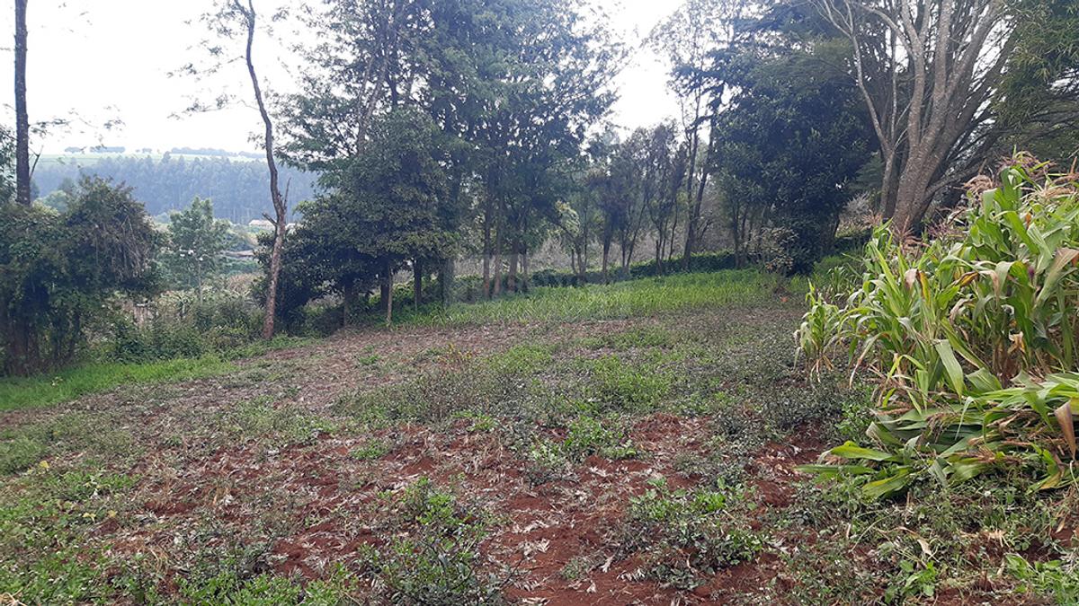 0.125 ac Land in Limuru - 2