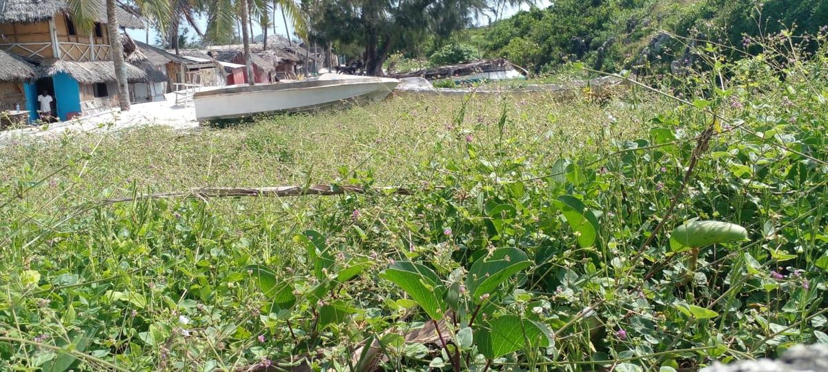 3.5 ac Land at Watamu - 7