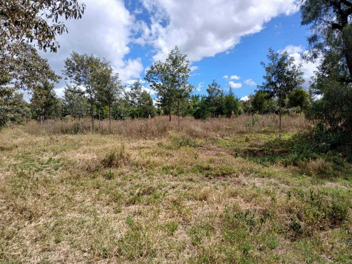 7 ac Land at Naivasha-Nakuru Highway - 8