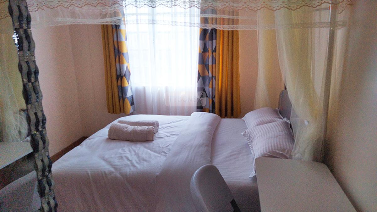 Furnished 3 Bed Apartment with En Suite in Ngara - 4