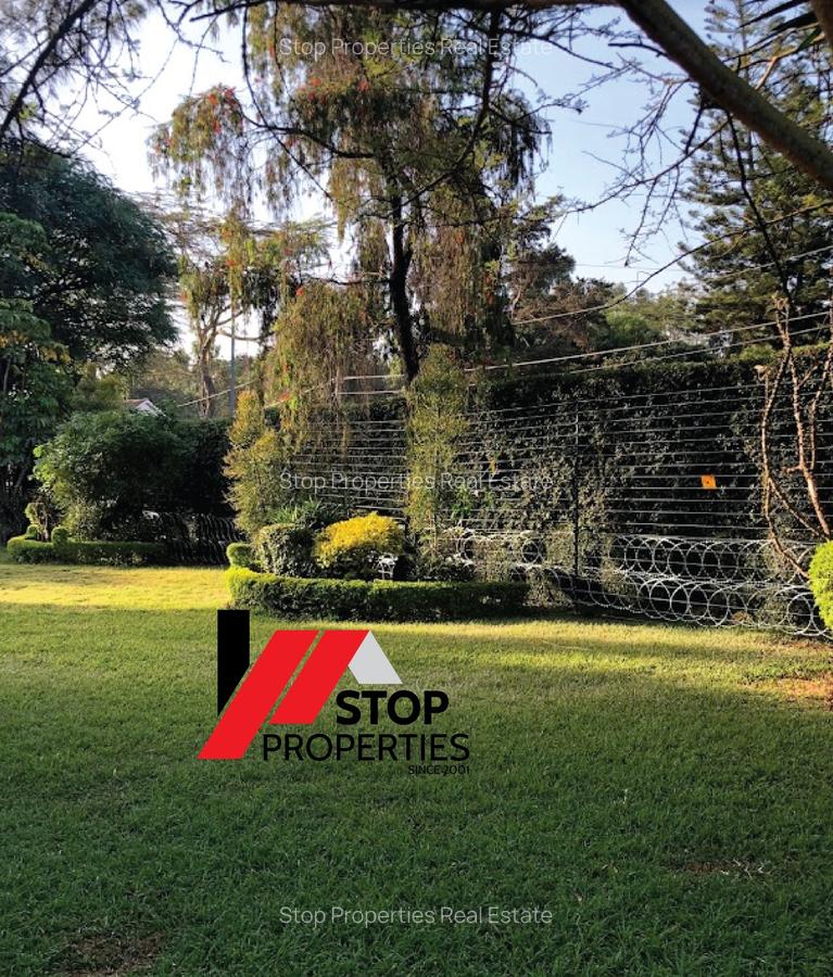 Commercial Property with Parking in Ngong Road - 7