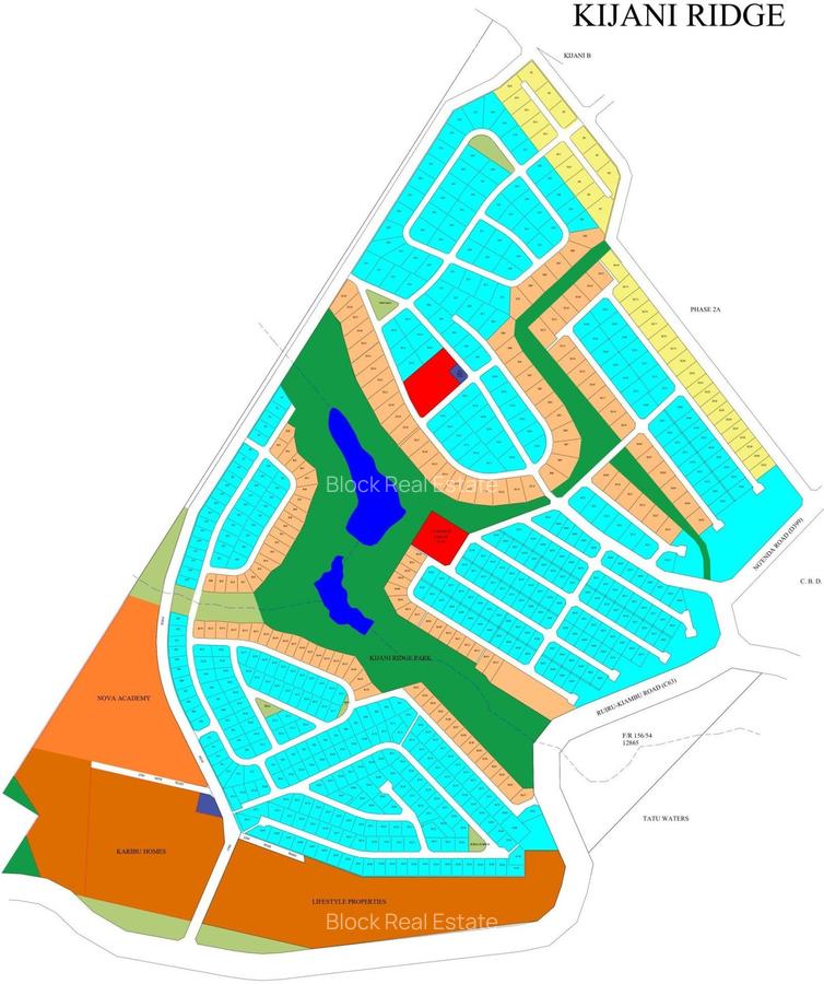 0.25 ac Residential Land in Tatu City - 3