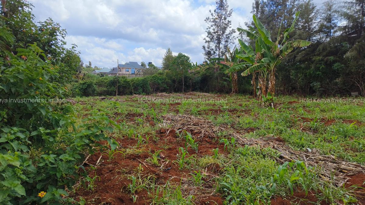 0.25 ac Residential Land at River Side Drive - 7