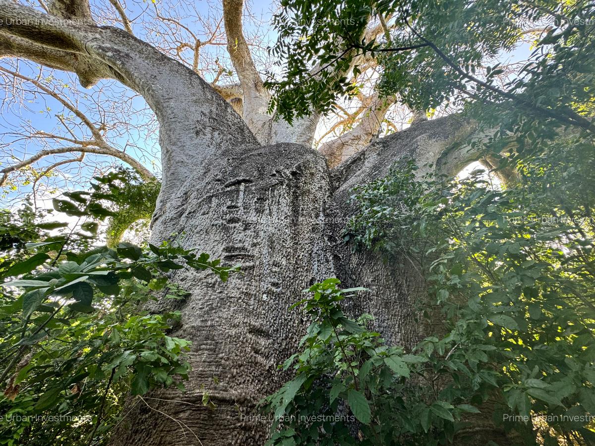 73.6 ac Land in Vipingo - 12