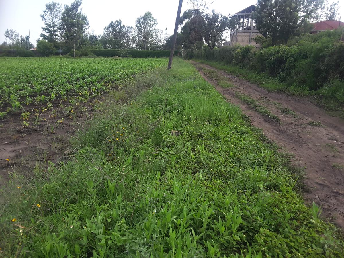 0.125 ac Residential Land in Ongata Rongai - 6