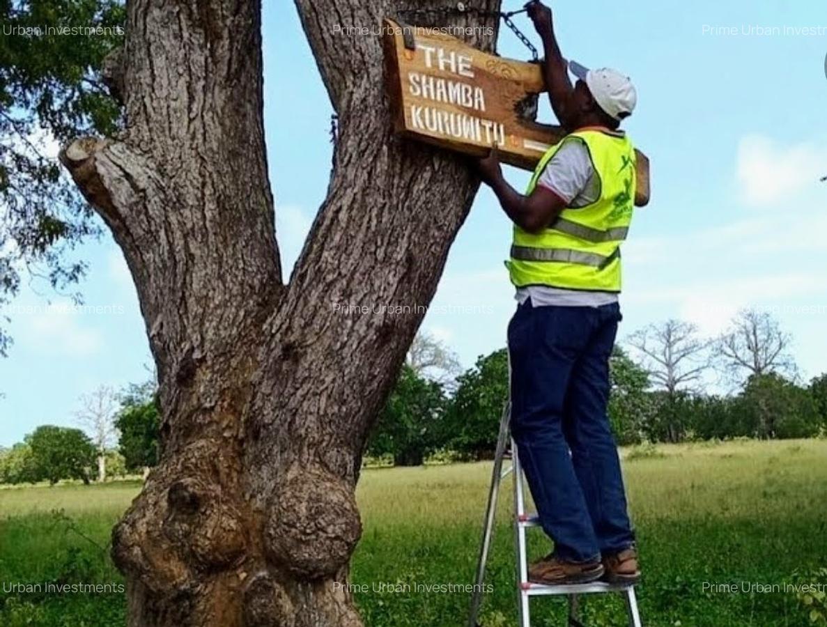 Land in Kilifi County - 11