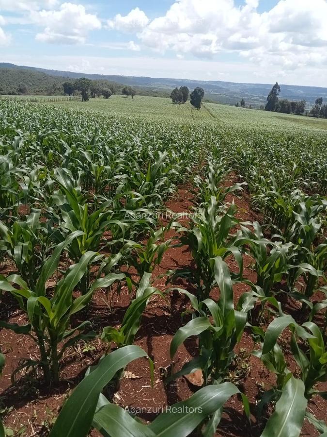 Land at Muhotetu - 6