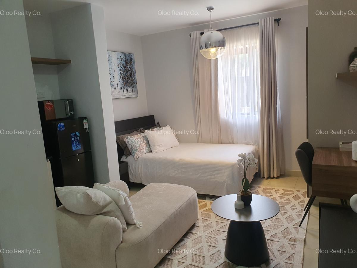 Studio Apartment with Swimming Pool at Naivasha Road - 1
