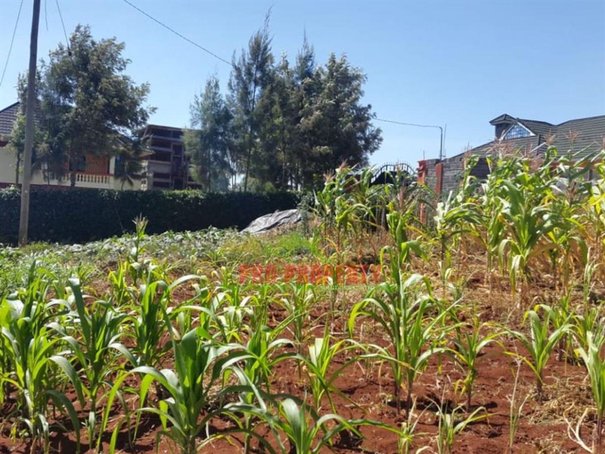 1,000 m² Residential Land in Kikuyu Town - 9