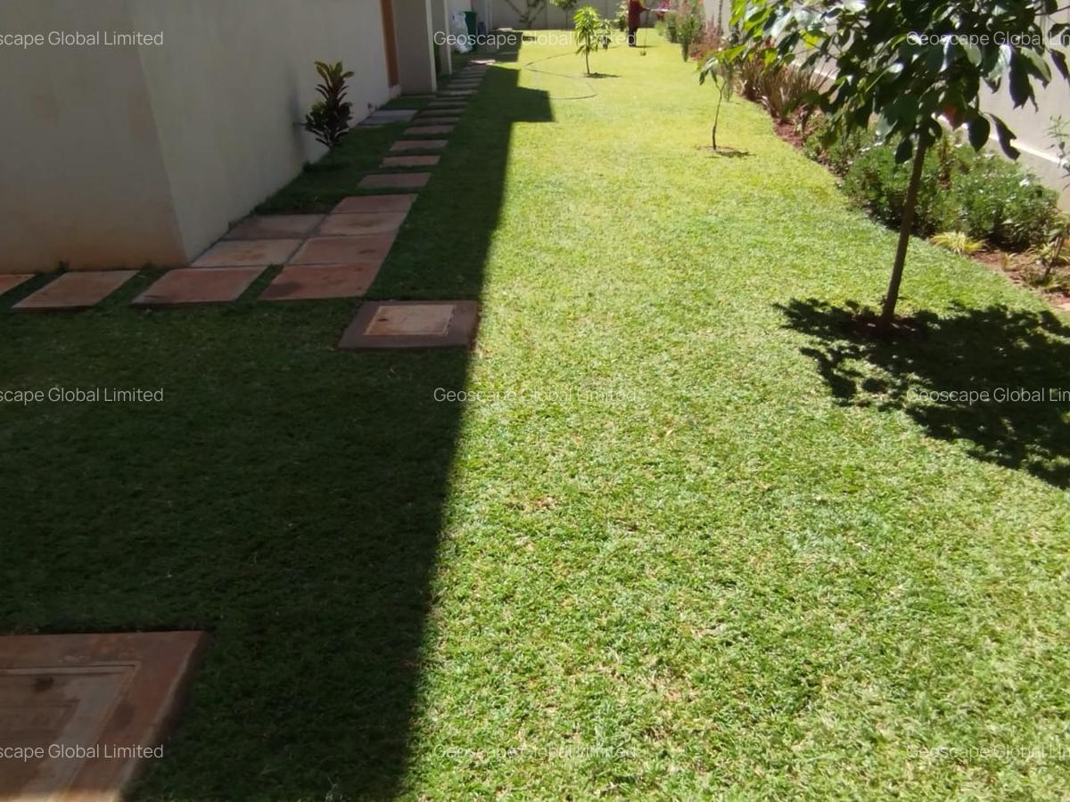 6 Bed Townhouse with En Suite in Lavington - 15