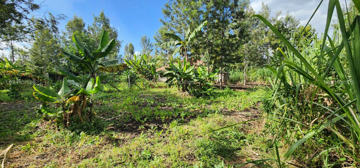 0.202 ha Residential Land at Rimpa - 11