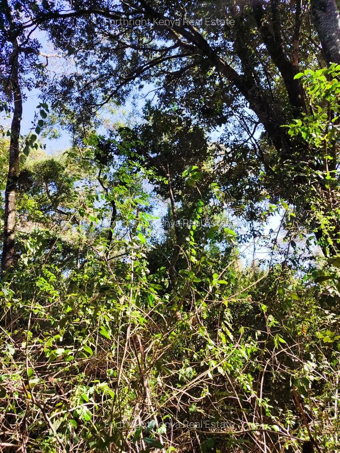 0.5 ac Land at Hardy - 10