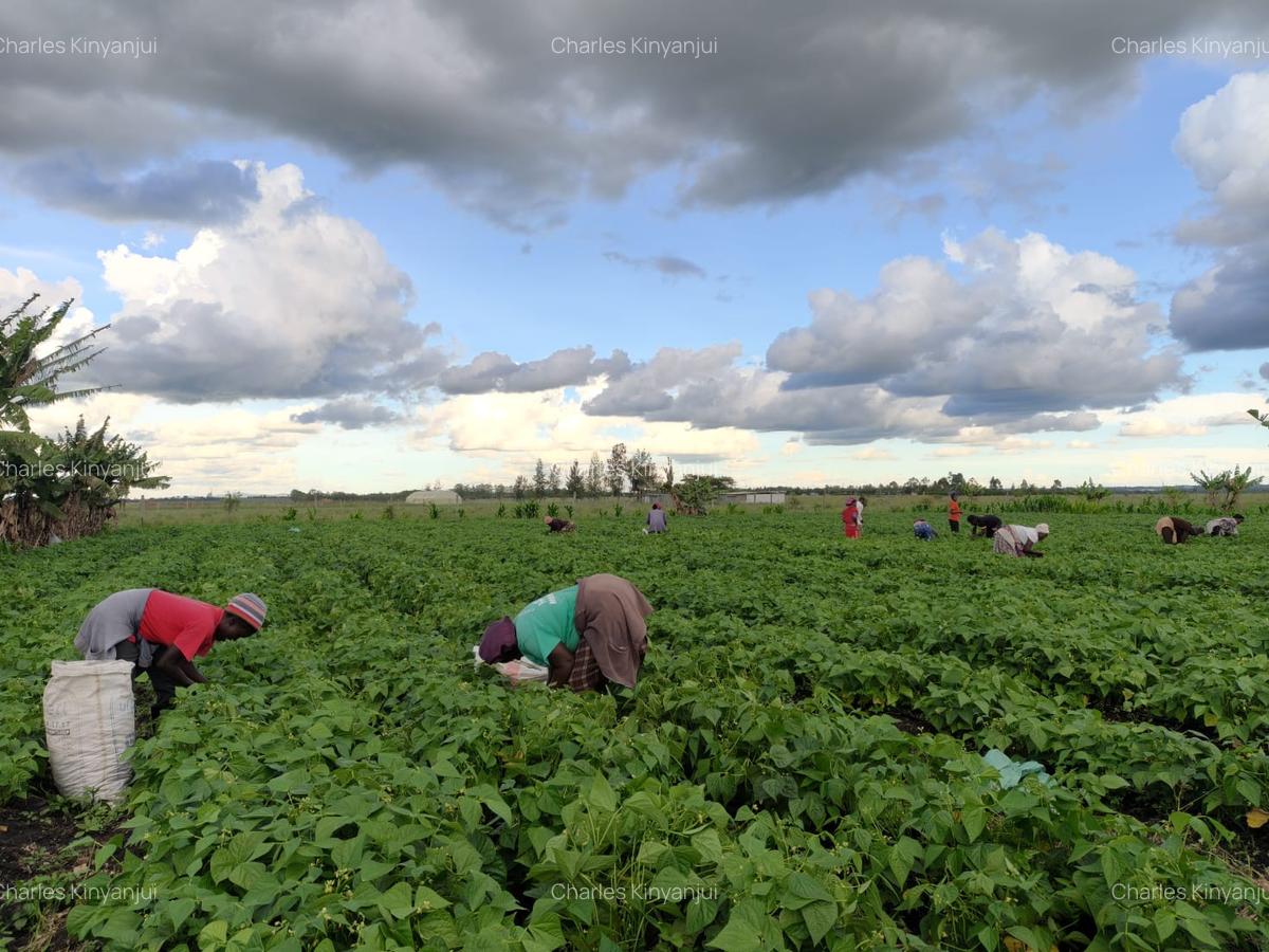 10.75 ac Land at Kisaju - 6