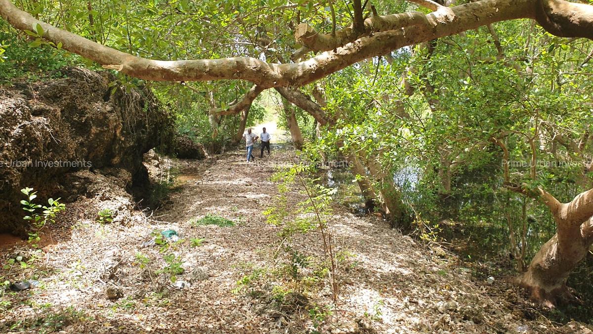 7 ac Land in Watamu - 3