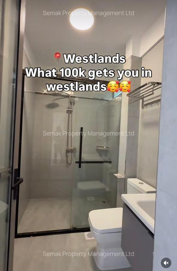 2 Bed Apartment with En Suite in Westlands Area - 7