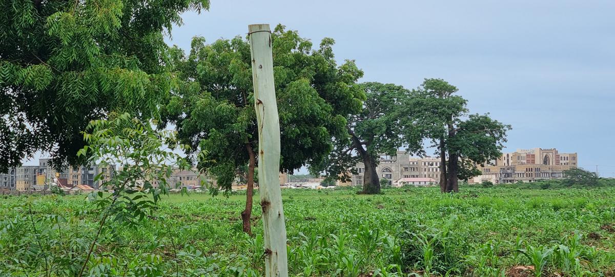 5 ac Land at Vipingo - 4