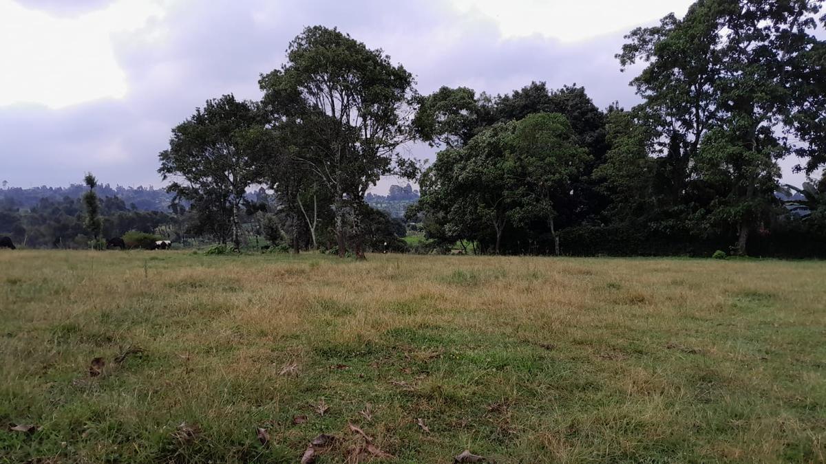 21 ac Land in Tigoni - 6
