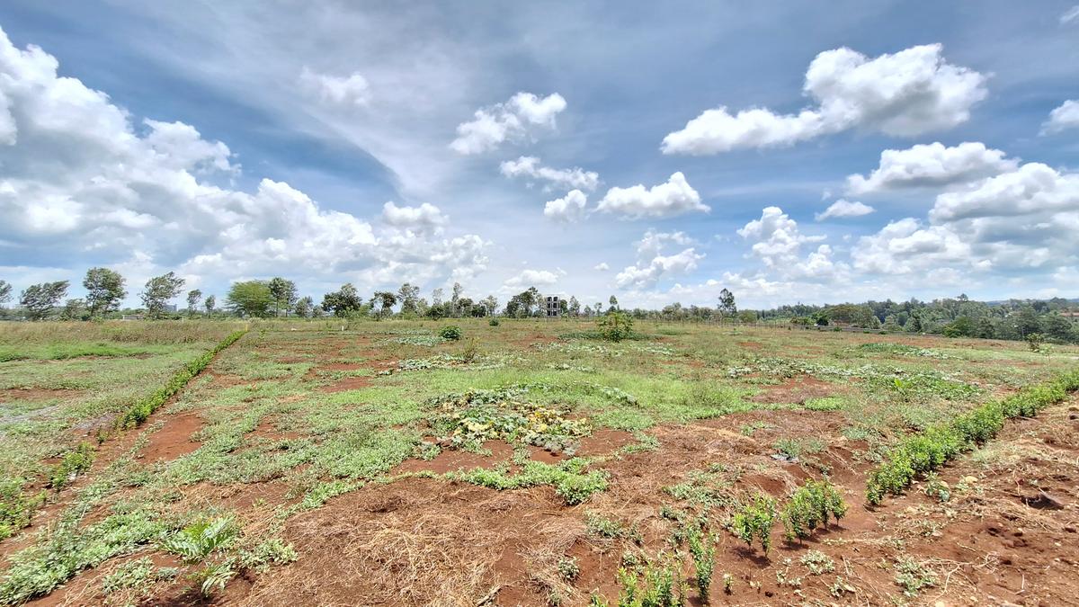 Residential Land at Runda Gardens - 8