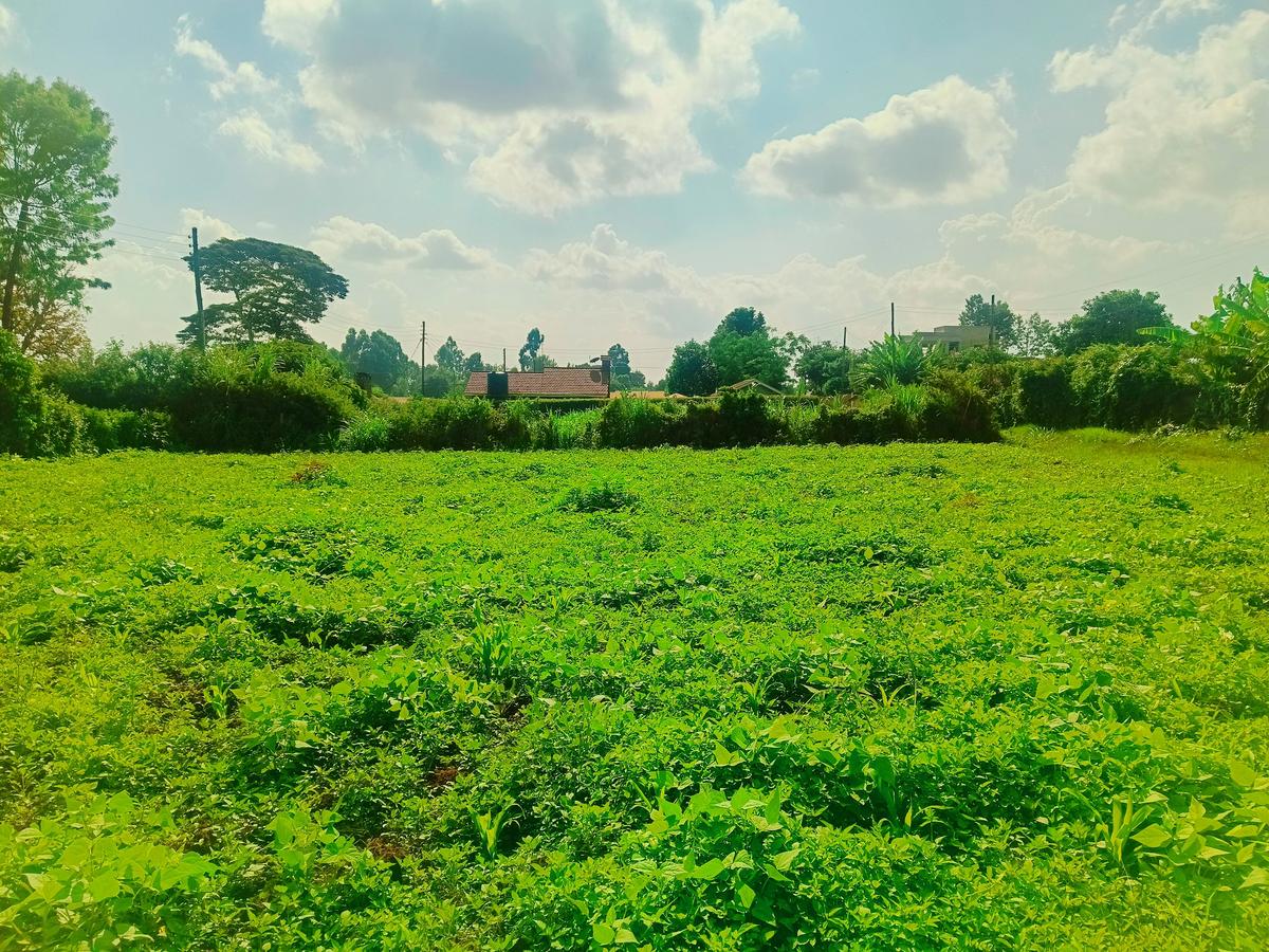 1,000 m² Residential Land at Ondiri - 4