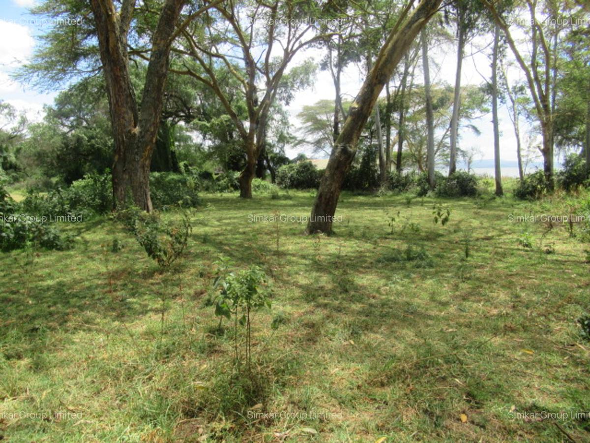 25 ac Land at Moi S Lake Rd - 2