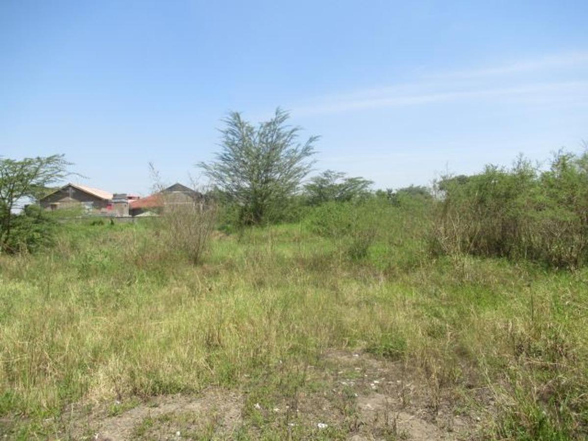 23,796 m² Commercial Land at Nyasa Road - 9