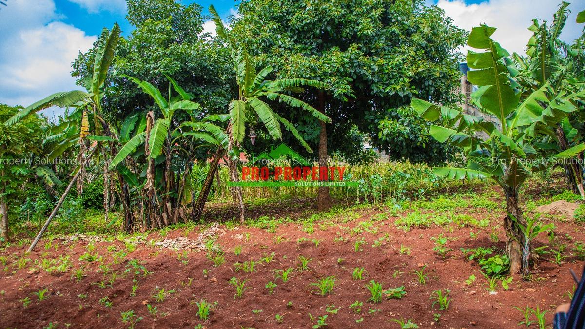 0.1 ha Residential Land at Thogoto - 7