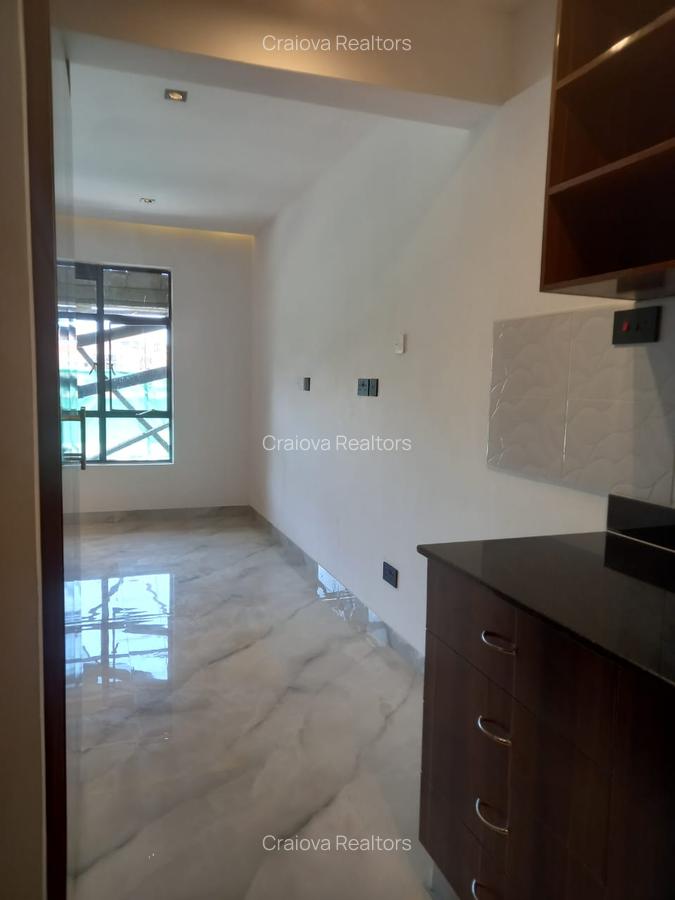 Studio Apartment with En Suite at Naivasha Road - 7