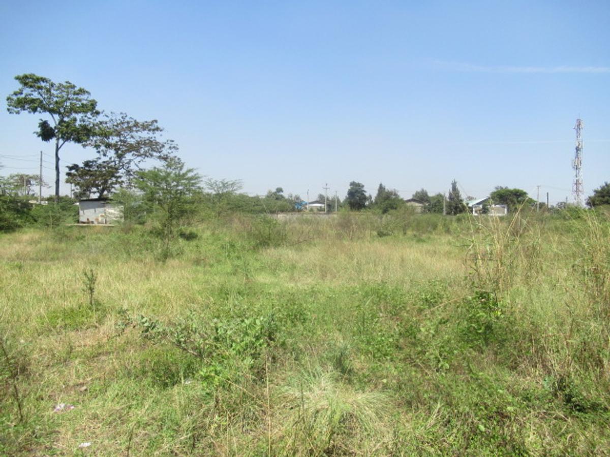 Land at Nyasa Rd - 2