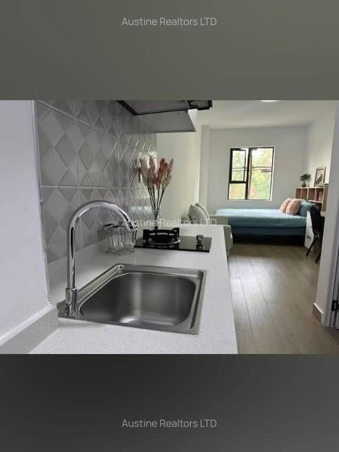 Serviced Studio Apartment with En Suite at Thika Road - 3