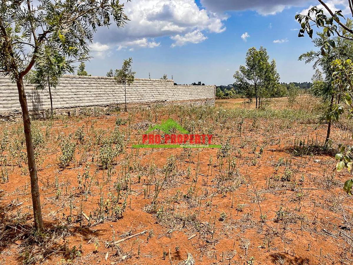 0.05 ha Residential Land in Kamangu - 7