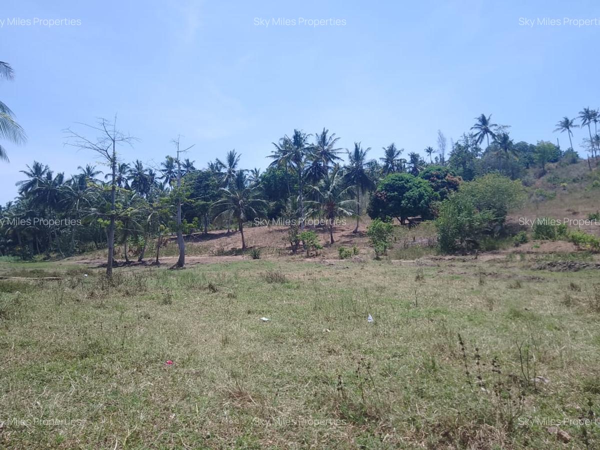 90 ac Land at Ridge - 6