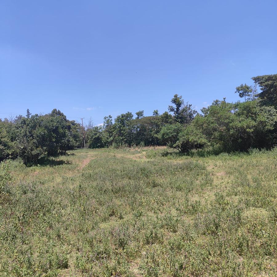 1 ac Land at Ndovu Road - 7